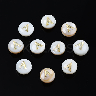 Natural Freshwater Shell Beads SHEL-S278-036A-1