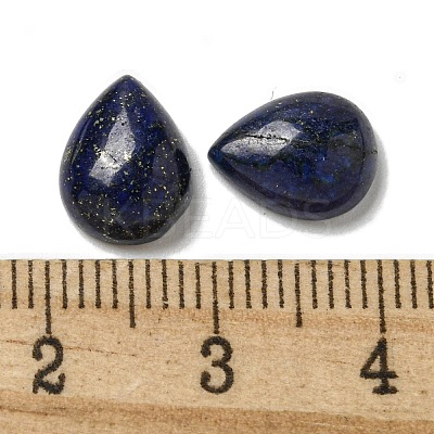 Natural Lapis Lazuli Cabochons G-Q173-02C-03-1