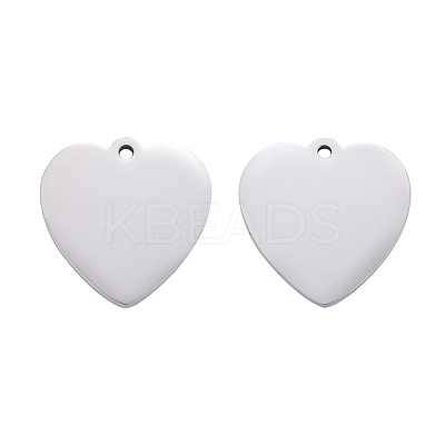Tarnish Resistant 304 Stainless Steel Pendants STAS-I140-06S-1