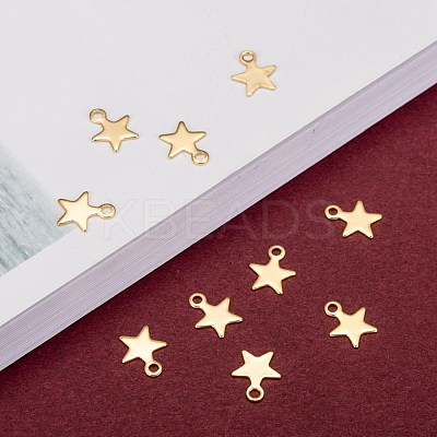 304 Stainless Steel Charms STAS-F159-43G-1
