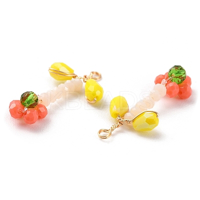 Glass Beaded Pendants GLAA-K060-02G-04-1
