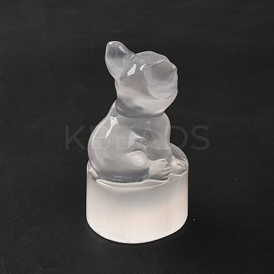 Natural Selenite Figurines DJEW-Q006-01B-1
