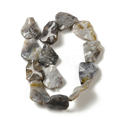 Natural Bamboo Leaf Agate Beads Strands G-NH0014-F01-01-1