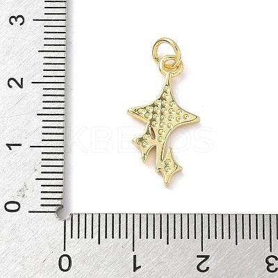 Brass Enamel Pendants KK-L239-052F-G-1