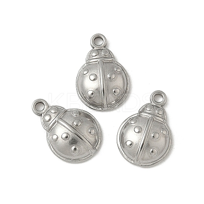 304 Stainless Steel Charms STAS-G354-01C-P-1
