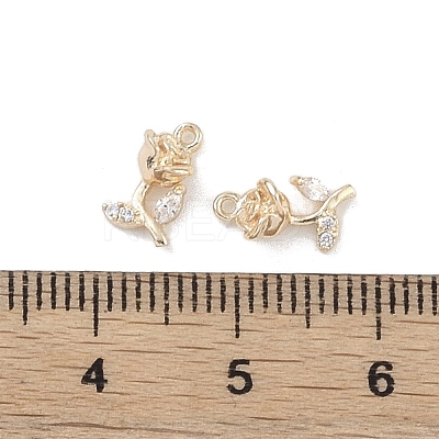 Brass Micro Pave Clear Cubic Zirconia Pendants KK-K351-43B-G-1
