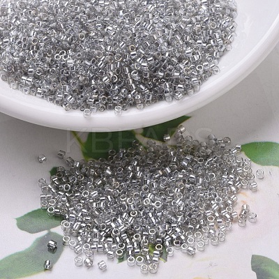 MIYUKI Delica Beads SEED-J020-DB0114-1