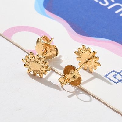 304 Stainless Steel Stud Earrings for Women STAS-Z117-17G-02-1