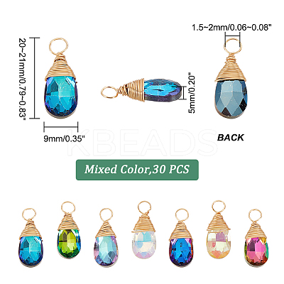 30Pcs Faceted Glass Pendants FIND-GA0002-69-1