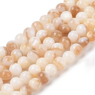 Natural Freshwater Shell Beads Strands SHEL-T011-02-6mm-1