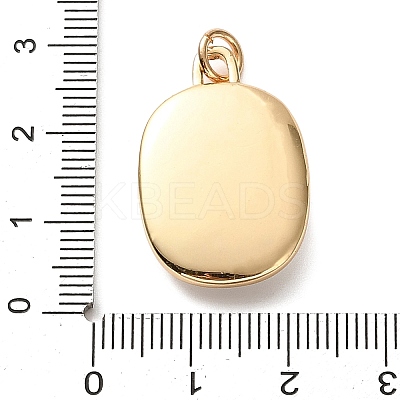 Golden Tone Brass Enamel Pendants KK-CBADFD5-03G-B-1