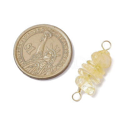 10Pcs 5 Styles Constellation Natural Garnet & Rose Quartz & Tiger Eye & Amethyst & Strawberry Quartz Copper Wire Wrapped Chip Beaded Connector Charms PALLOY-JF02905-11-1