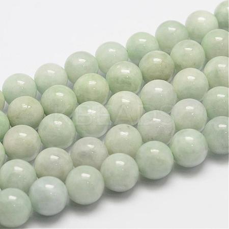 Natural Myanmar Jade/Burmese Jade Beads Strands G-F306-13-10mm-1