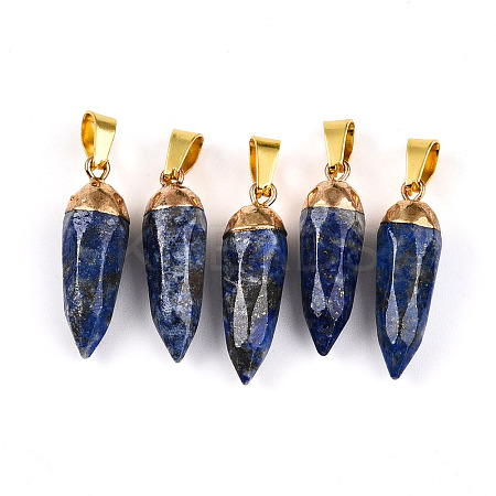Natural Lapis Lazuli Pendants G-N345-01G-1