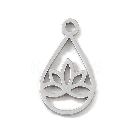 Non-Tarnish 304 Stainless Steel Charms LS-STAS-B062-04P-1