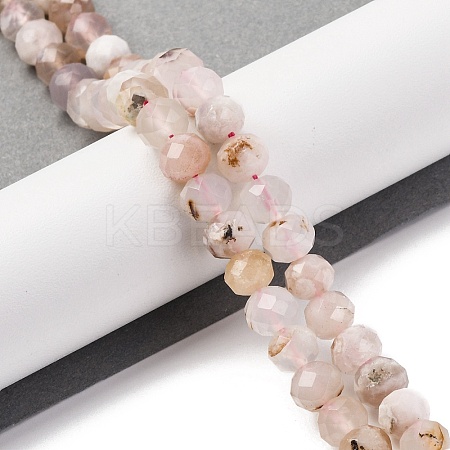Natural Cherry Blossom Agate Beads Strands G-K380-A43-01-1
