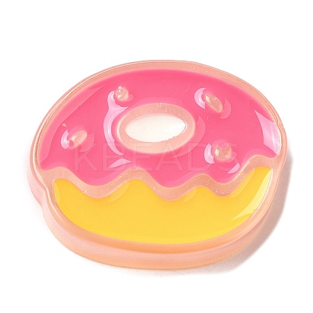 Translucent Resin Imitation Food Decoden Cabochons LS-RESI-H147-01O-1