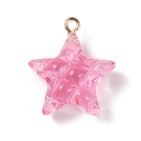 Transparent Resin Pendants LS-RESI-Z016-02D-LG-1