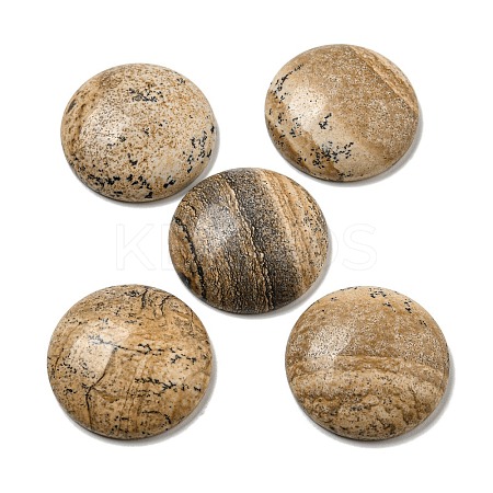 Natural Picture Jasper Cabochons G-C115-02B-22-1
