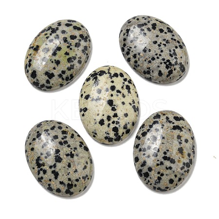 Natural Dalmatian Jasper Cabochons G-C115-01B-10-1