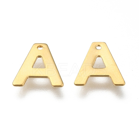 304 Stainless Steel Charms LS-X-STAS-P141-A-1