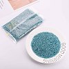 Glass Bugle Beads SEED-S032-08A-23-2