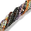 Natural Mixed Gemstone Beads Strands G-G161-A15-03-2