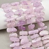 Natural Kunzite Beads Strands G-L657-E05-01-1