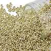 TOHO Round Seed Beads SEED-TR11-PF0559-1