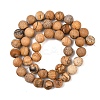 1 Strand Frosted Natural Picture Jasper Round Beads Strands G-YW0002-56-1