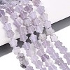 Natural Lavender Amethyst Beads Strands G-N257-24A-11-1