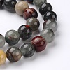 Natural African Bloodstone Beads Strands G-L383-06-12mm-3