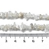 Natural Supper 7 Rutilated Quartz Chip Beaded Necklaces for Men Women NJEW-G159-01J-5