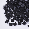 FGB 2-Hole Glass Seed Beads X-SEED-S031-L-049-1