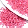 FGB 11/0 Grade A Glass Seed Beads SEED-S030-1144-1