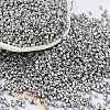 Baking Paint Glass Seed Beads SEED-S042-15B-33-1