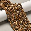 Natural Picture Jasper Beads Strands G-P575-C08-6mm-1