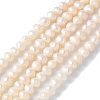 Natural Cultured Freshwater Pearl Beads Strands PEAR-I007-07L-01-2
