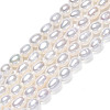 Natural Cultured Freshwater Pearl Beads Strands PEAR-N012-03F-2