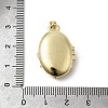 Brass Micro Pave Clear Cubic Zirconia Locket Pendants KK-L262-07G-3