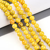 Natural Persian Jade Beads Strands G-A255-A02-01I-1