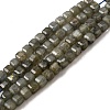 Natural Labradorite Beads Strands G-F797-A09-01-2
