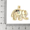Brass Micro Pave Colorful Cubic Zirconia Pendants ZIRC-I071-01G-02-3