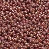 TOHO 6/0 Round Beads SEED-XTR06-1201-3