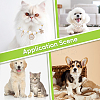 Adjustable Plastic Imitation Pearls Beads Pet Collars Necklaces AJEW-WH20017-48A-05-4