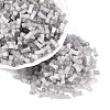 FGB Grade A Drawbench Style Glass Seed Beads SEED-Q040-01A-17-1