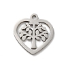 Non-Tarnish 201 Stainless Steel Charms LS-STAS-E206-06P-04-1