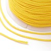 Nylon Thread NWIR-K013-B18-3