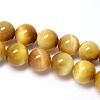 Natural Gold Tiger Eye Beads Strands X-G-C076-4mm-1AA-1