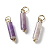 Natural Amethyst Pendants STAS-C120-01G-01-1